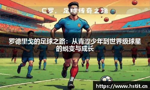 星空电子首页网站